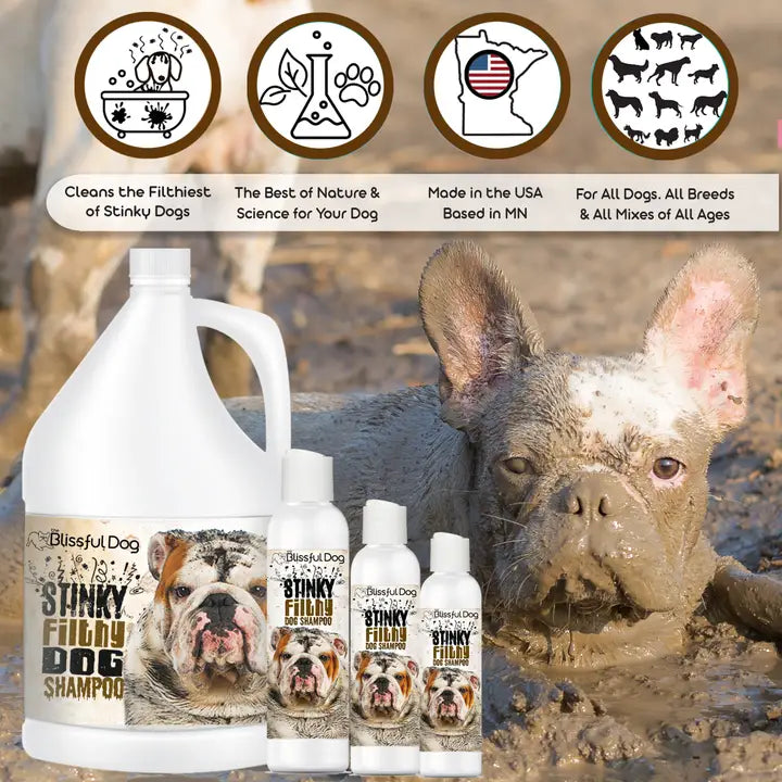 Stinky Filthy Dog Shampoo For Filthy Dogs Gallon