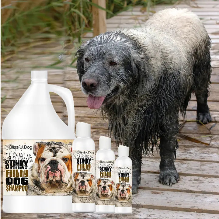 Stinky Filthy Dog Shampoo For Filthy Dogs Gallon