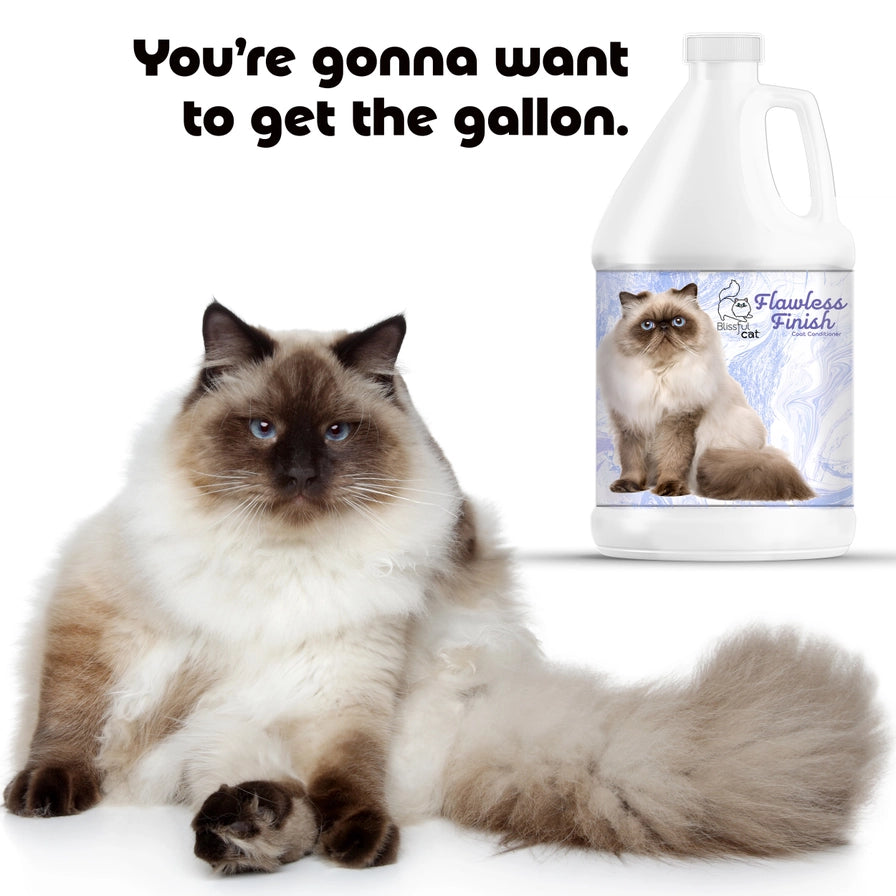 The Blissful Cat Flawless Finish Conditioner - 1 Gallon