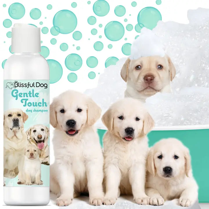Gentle Touch Dog Shampoo For Puppies and Sensitive Dogs
