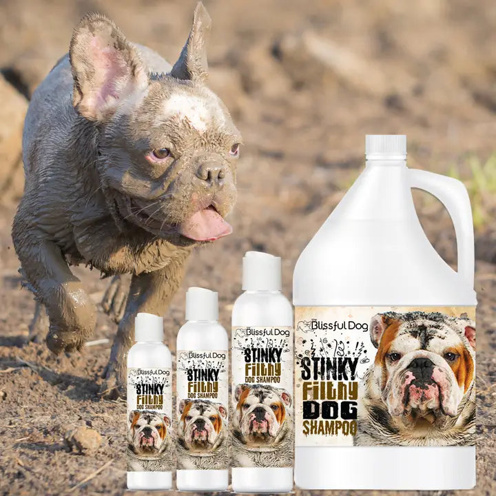 Stinky Filthy Dog Shampoo For Filthy Dogs Gallon