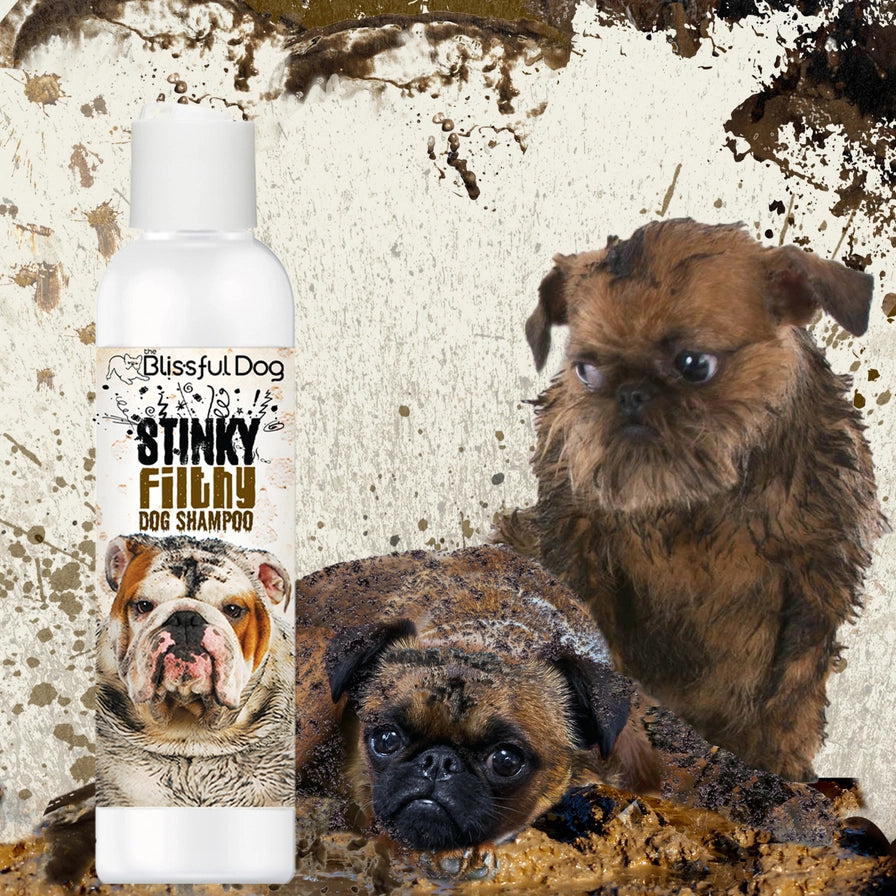 Stinky Filthy Dog Shampoo for Your Filthy Animal of a Dog