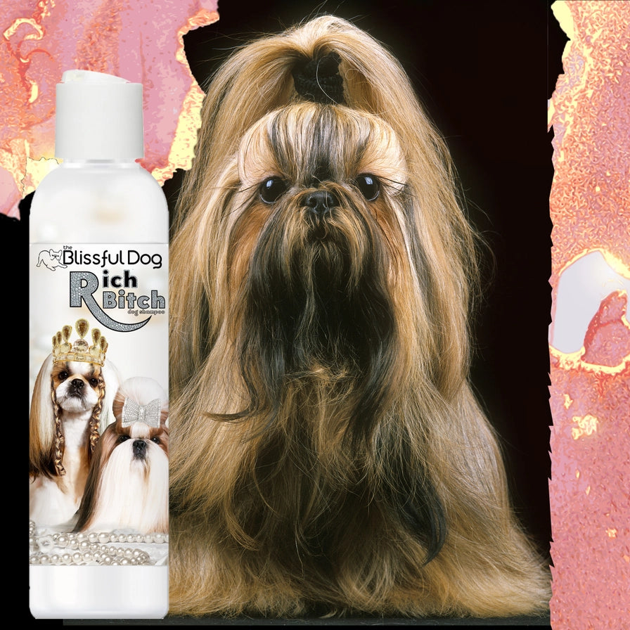 Rich Bitch Dog Shampoo in Gallon
