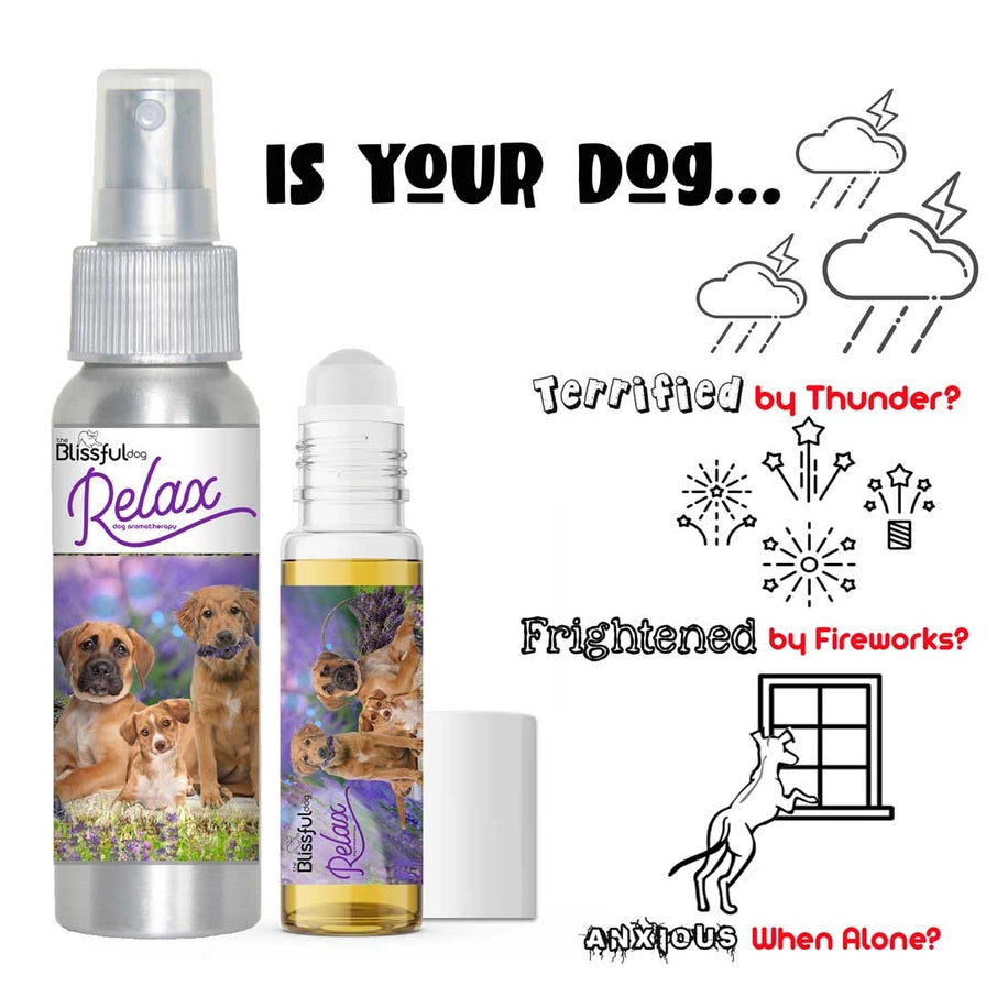 Relax Dog Aromatherapy Calming Spray & Roll-On