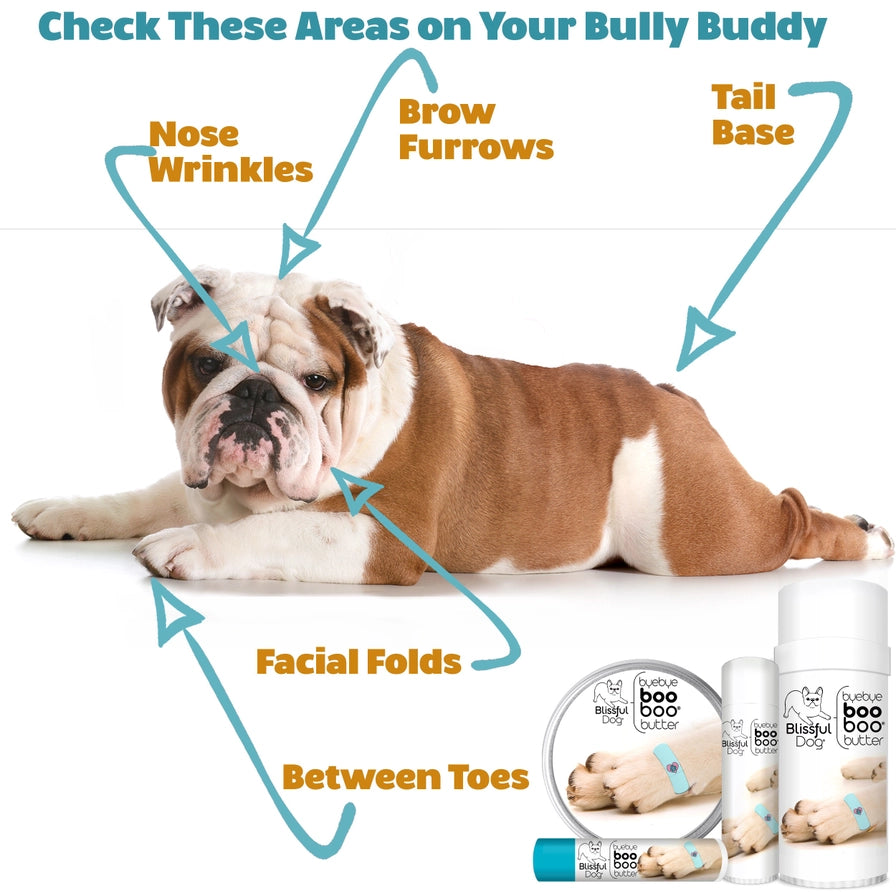 Boo Boo Butter For Minor Skin Issues