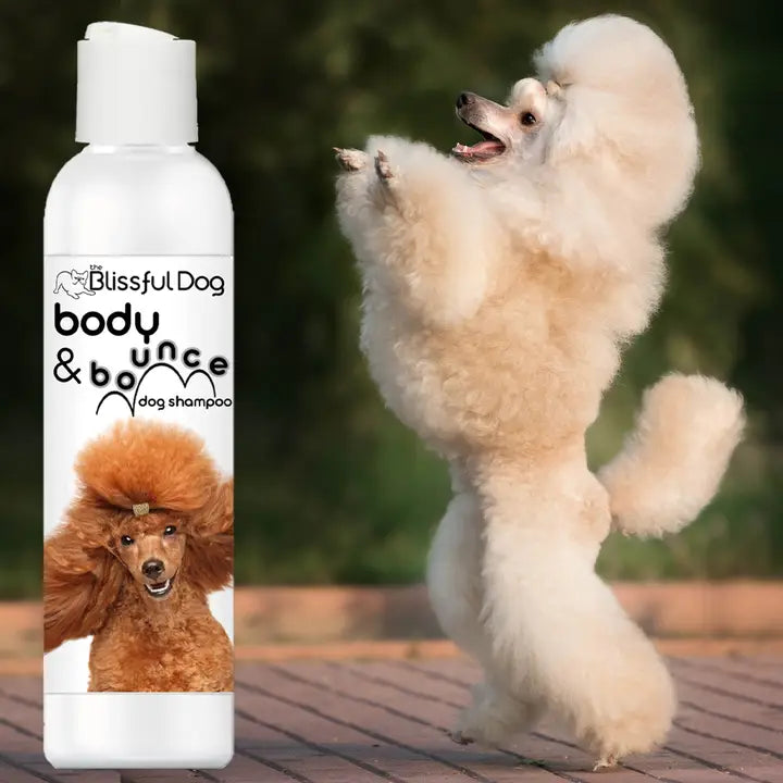 Body & Bounce Dog Shampoo For Volume & Oomph