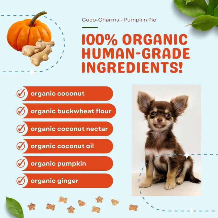 Coco-Charms Training Treats – Pumpkin Pie