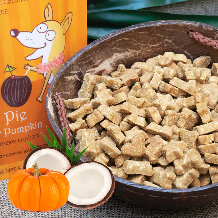 Coco-Charms Training Treats – Pumpkin Pie