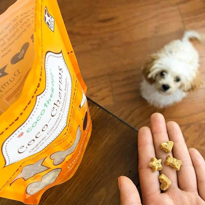 Coco-Charms Training Treats – Pumpkin Pie