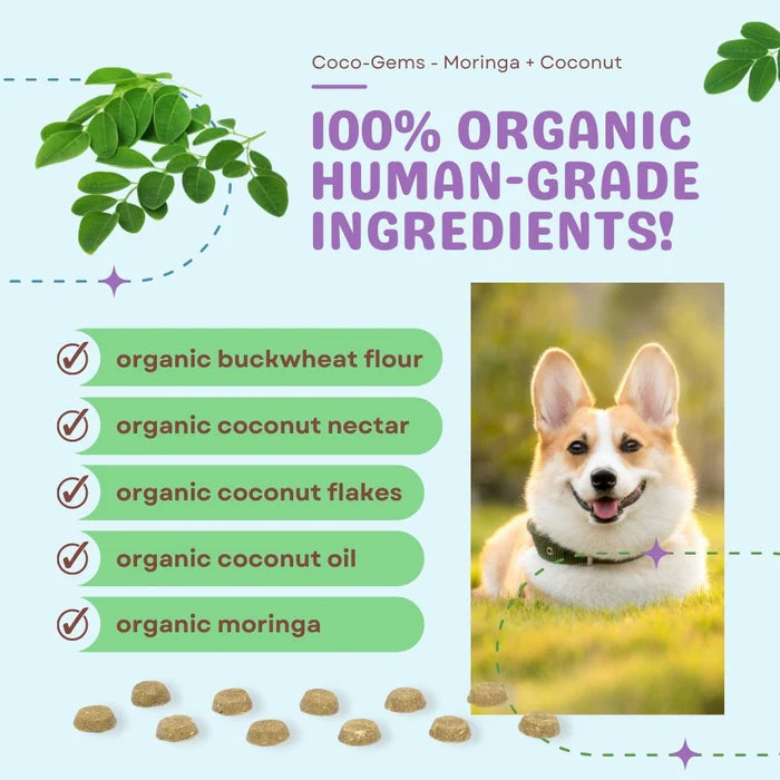Coco-Gems - Moringa + Coconut