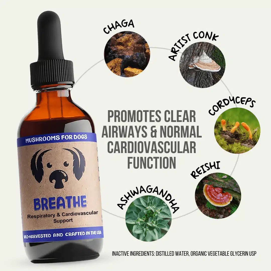 Breathe by MycoDog Mushroom Extract & Adaptogen Tincture