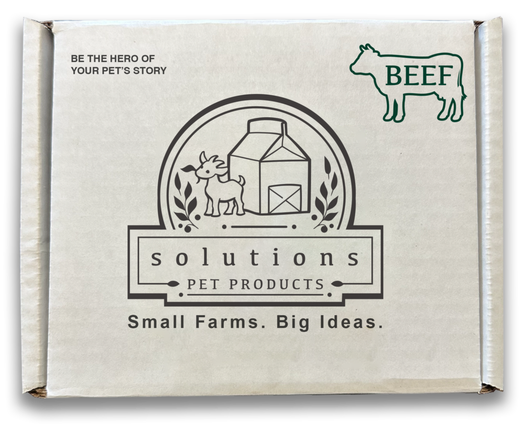 Solutions Pet Beef Recipe