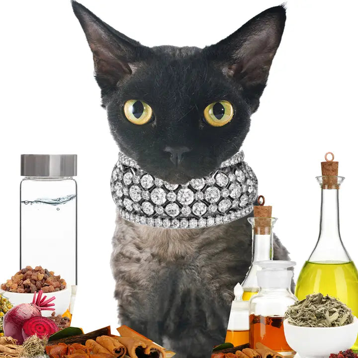 The Blissful Cat Drama Queen Shampoo - 1 Gallon