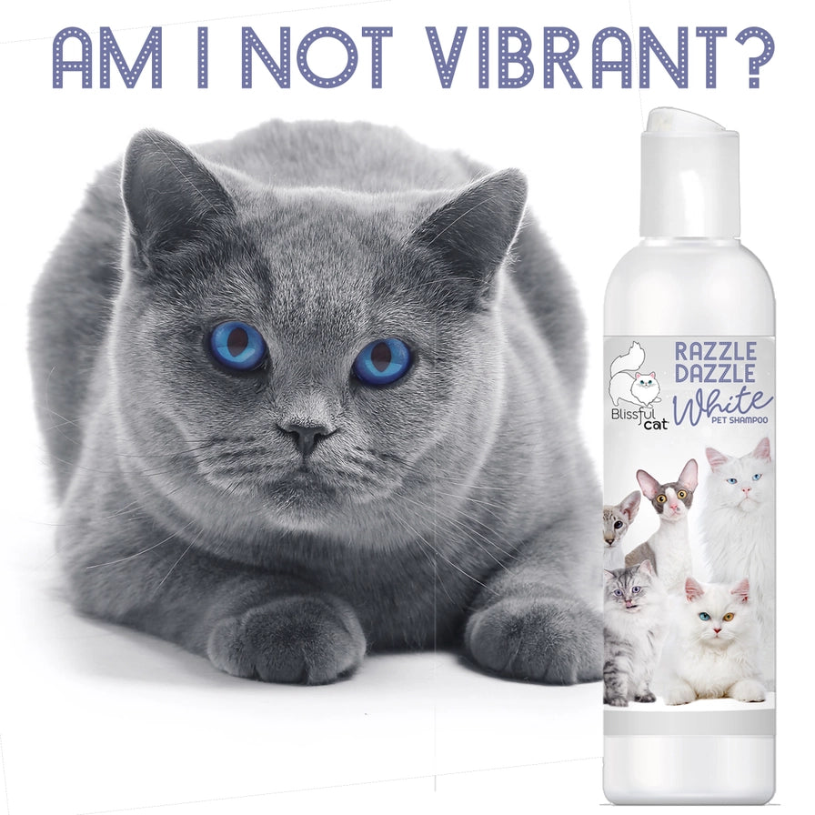 The Blissful Cat Razzle Dazzle White Cat Shampoo