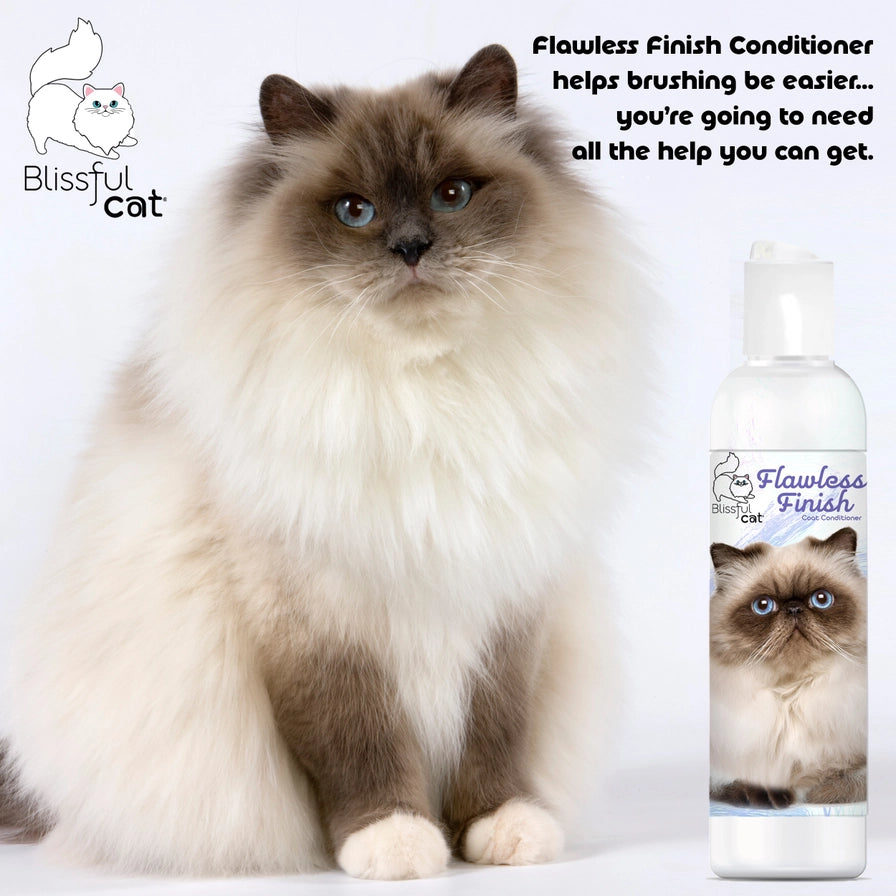 The Blissful Cat Flawless Finish Conditioner