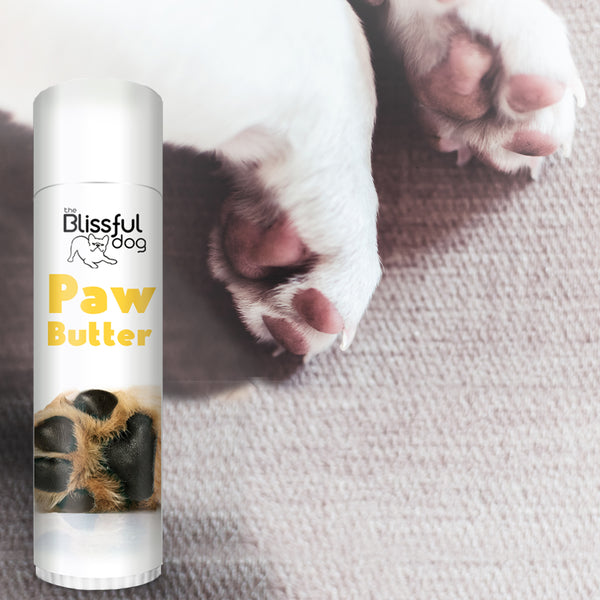 The Blissful Dog PAW BUTTER All Natural Good Stuff for Dry Paw Pads