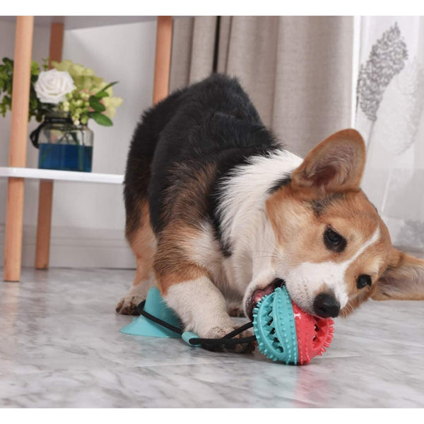 Silicon Pet Dog Toys Suction Cup  Dog Toys Interactive Suction