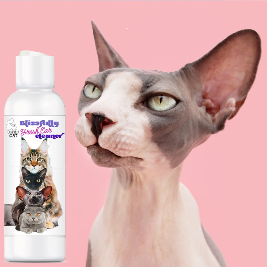 The Blissful Dog - The Blissful Cat Simply Clean Ear Cleaner in 3 Sizes