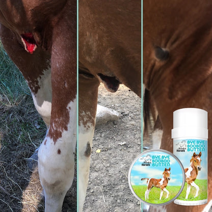 The Blissful Horses Boo Boo Butter in Tins &amp; Tubes