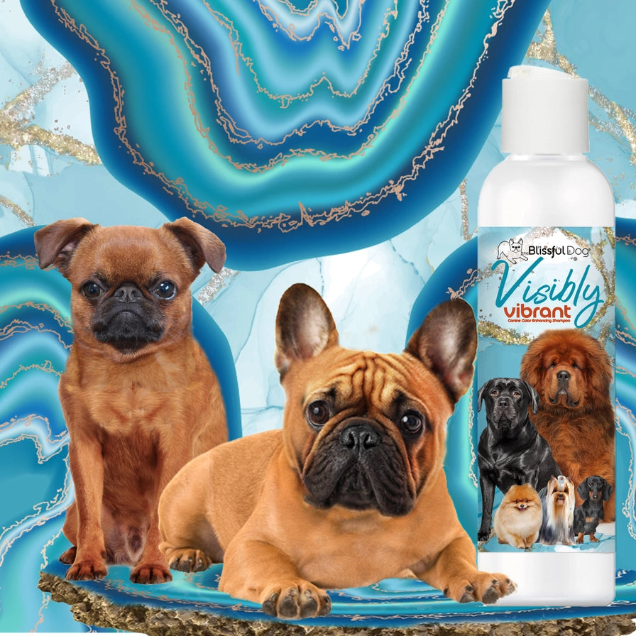 Visibly Vibrant Dog Shampoo For Color Enhancing