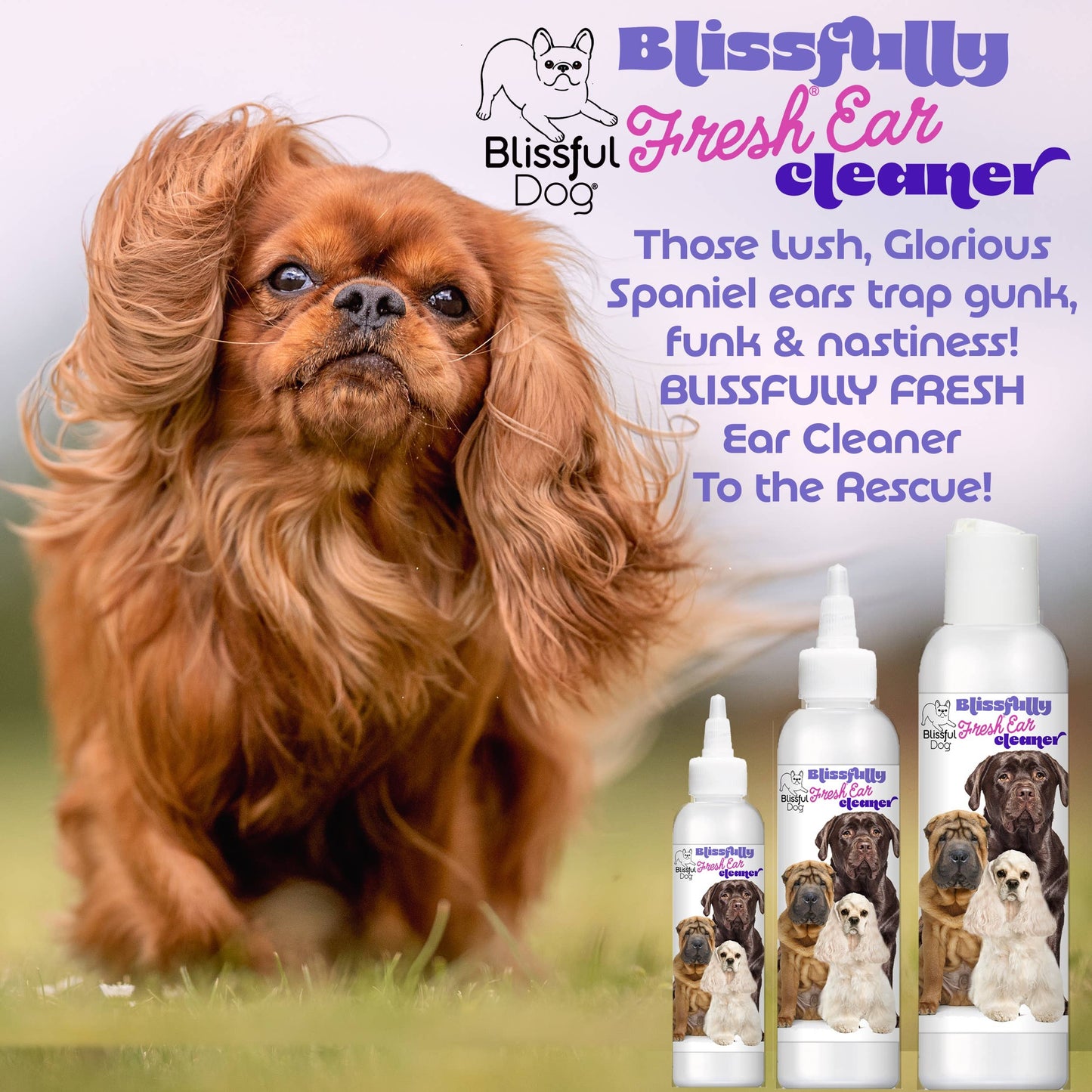 The Blissful Dog - Blissfully Fresh Dog Ear Cleaner in 4, 8, 16 oz: 16 oz