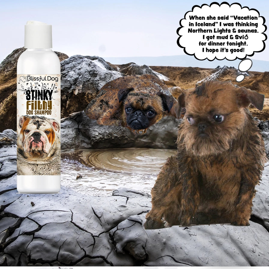 Stinky Filthy Dog Shampoo for Your Filthy Animal of a Dog