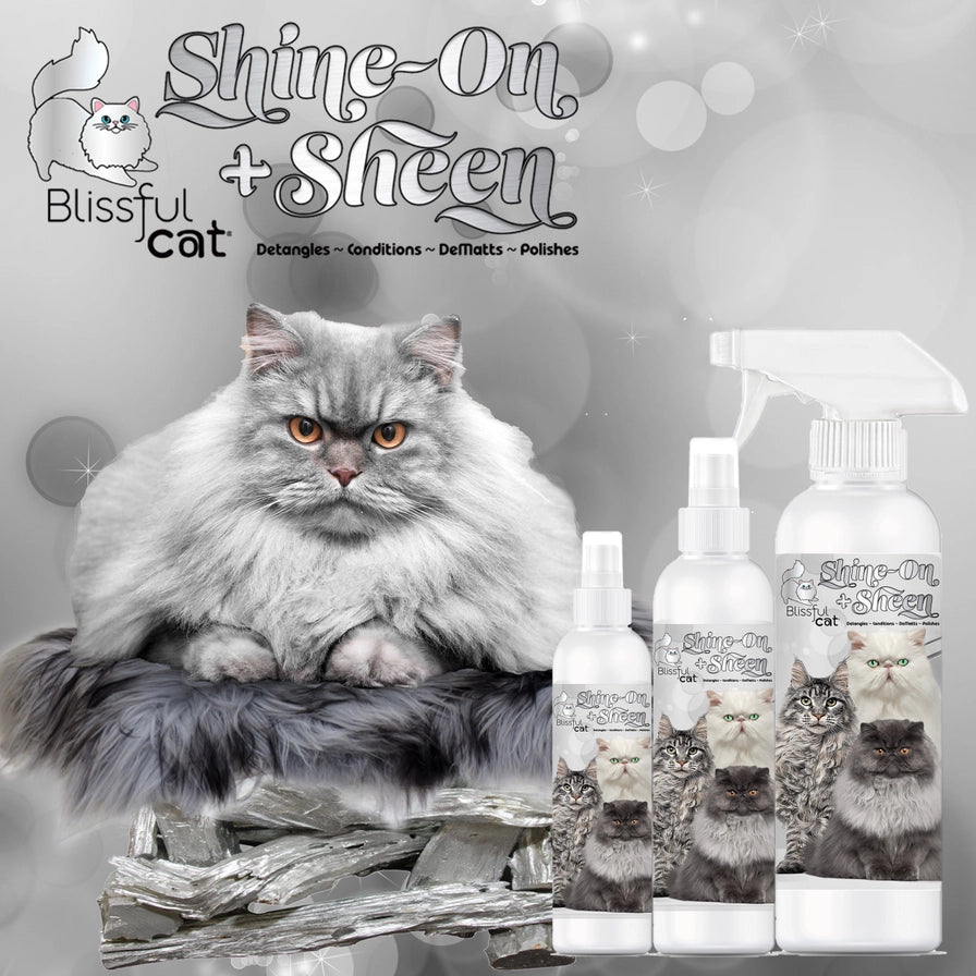 The Blissful Cat Shine On+Sheen Coat Spray