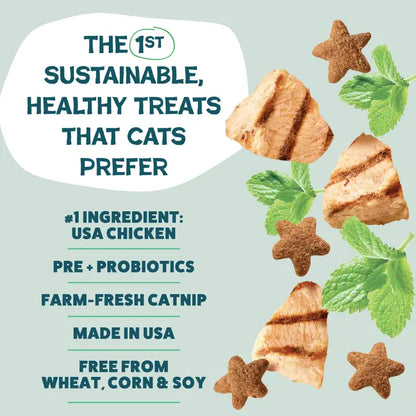 Catnip N Chill Crunchy Cat Treats - Chicken