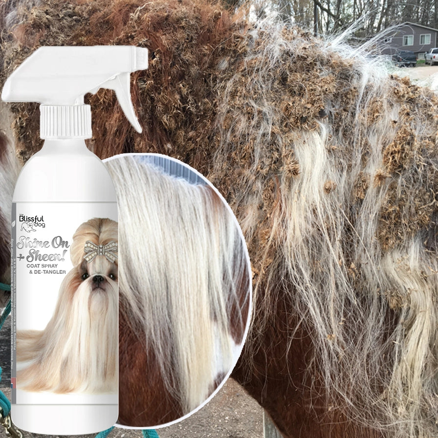 Shine On+Sheen Coat Spray Leave-in Conditioner Gallon