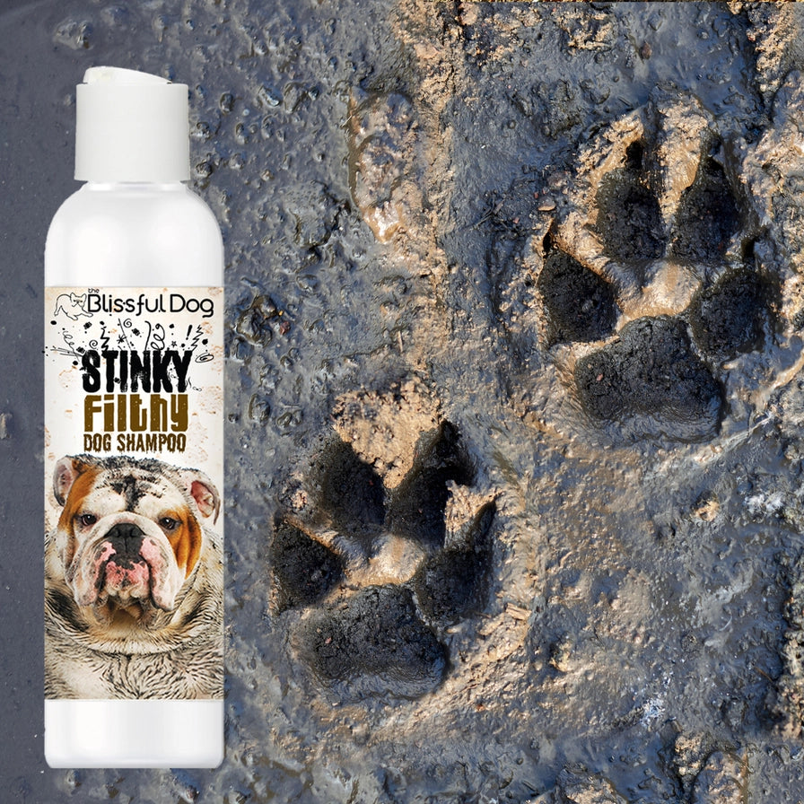Stinky Filthy Dog Shampoo for Your Filthy Animal of a Dog