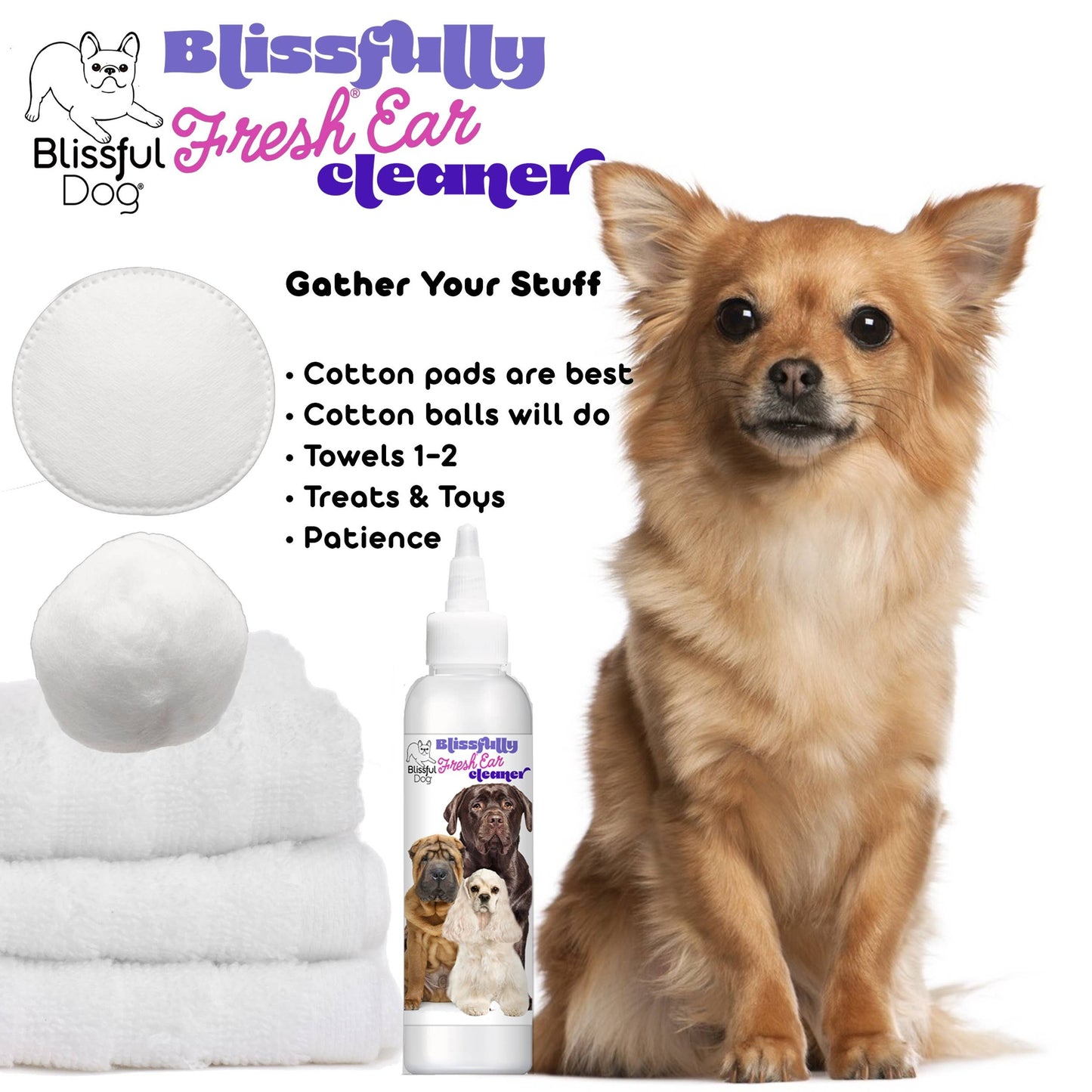 The Blissful Dog - Blissfully Fresh Dog Ear Cleaner in 4, 8, 16 oz: 16 oz