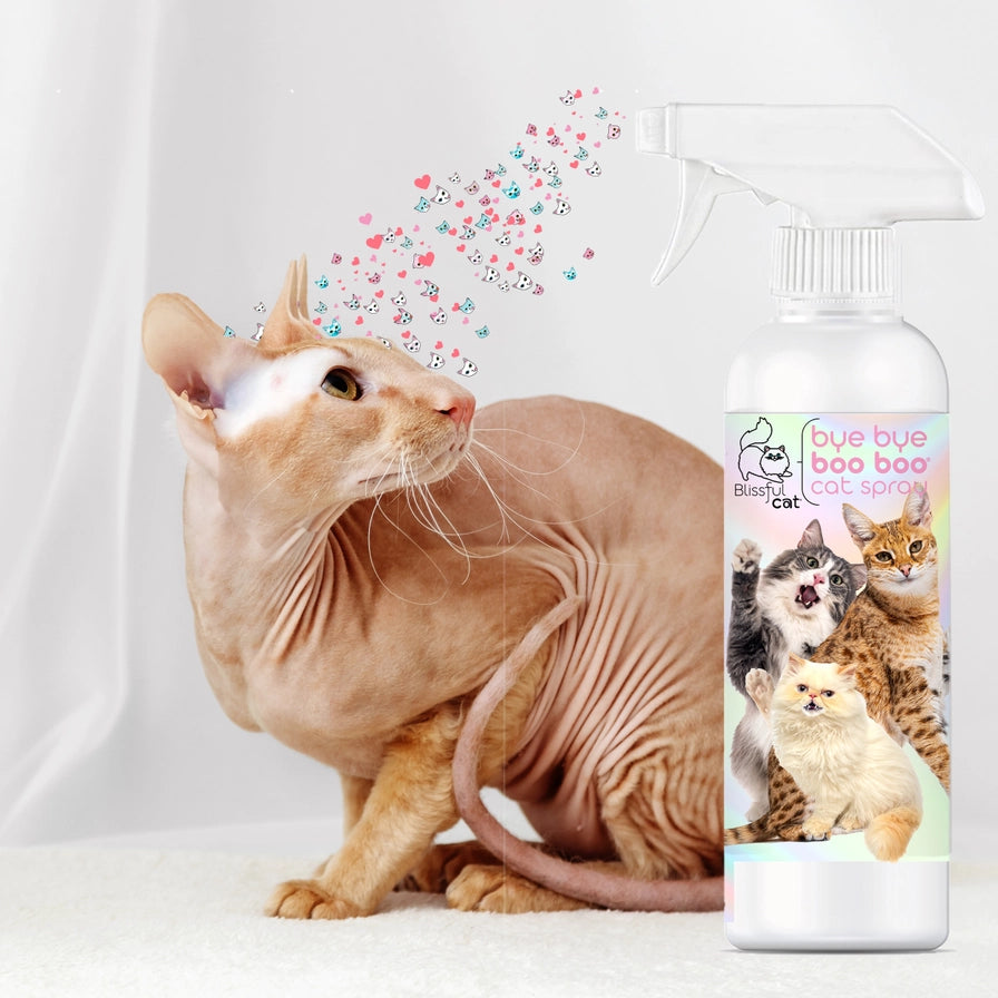 The Blissful Cat Boo Boo Spray