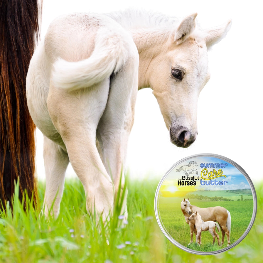 The Blissful Horses Summer Care Butter in Tins &amp; Tubes