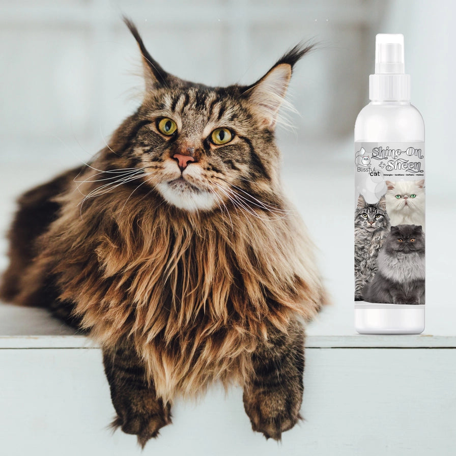 The Blissful Cat Shine On+Sheen Coat Spray