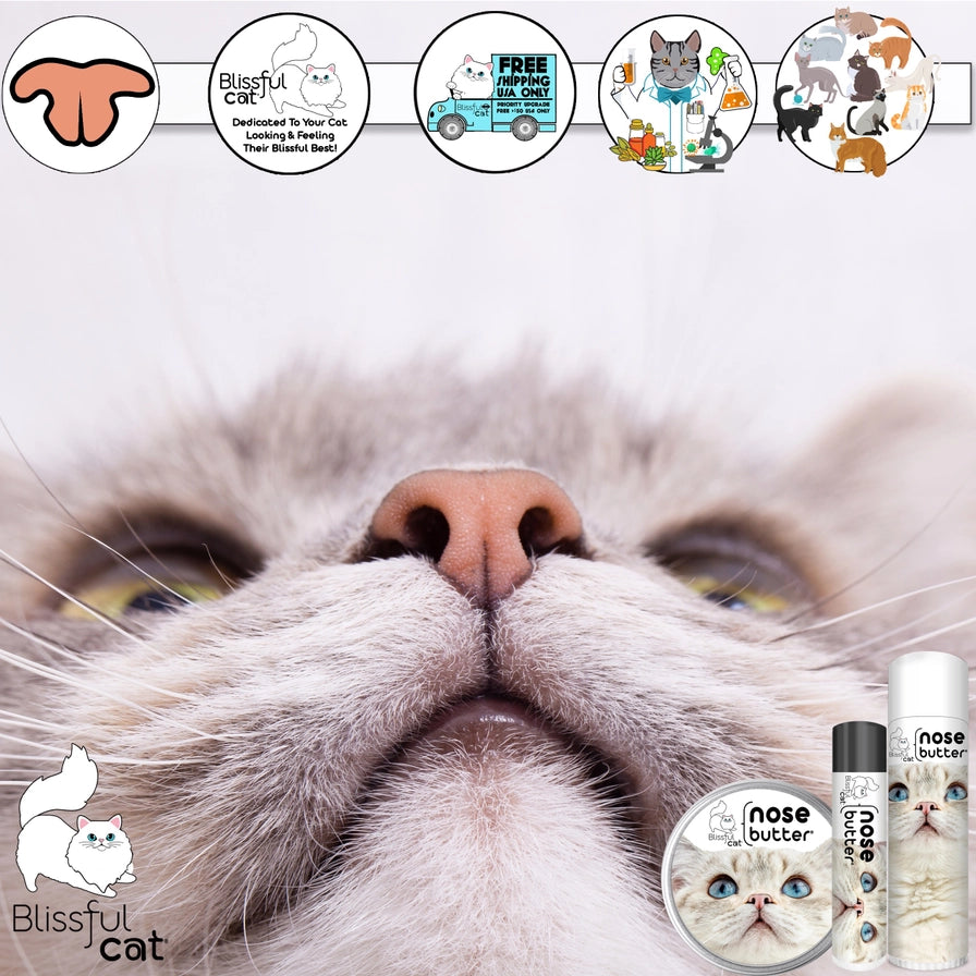 The Blissful Cat Nose Butter