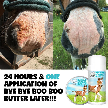 The Blissful Horses Boo Boo Butter in Tins &amp; Tubes