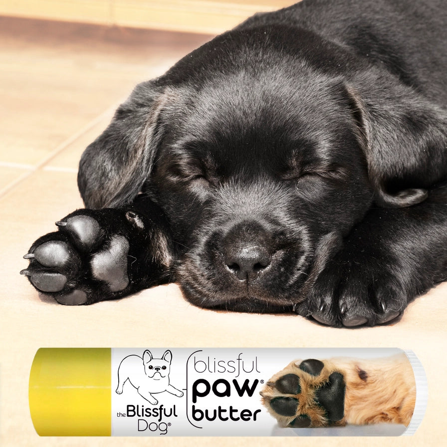 Paw Butter For Rough, Dry Dog Paws in Tins & Tubes, Paw Balm