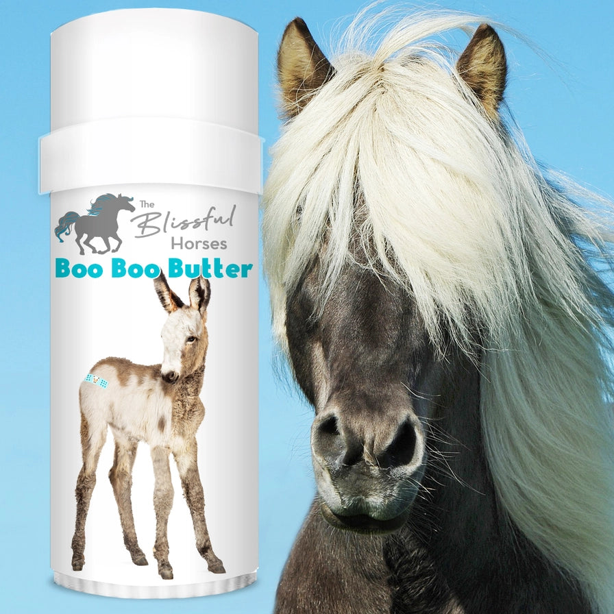 The Blissful Horses Gift Box - Boo Boo, Hoof and Bug Butters