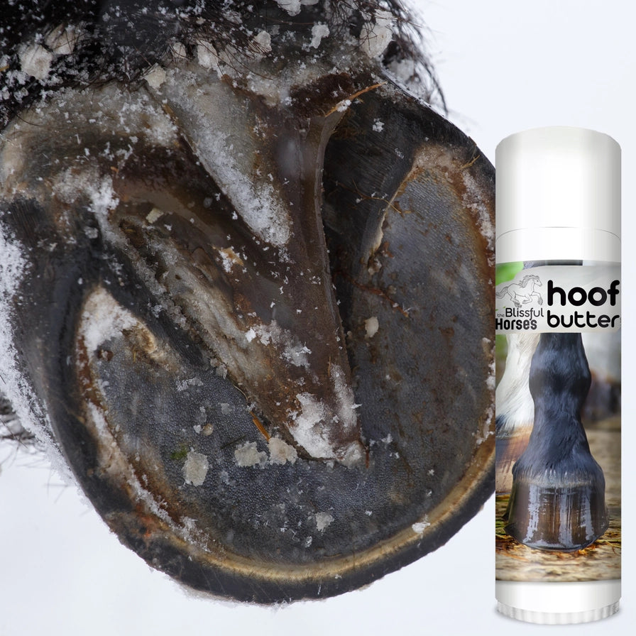 The Blissful Horses Moisturizing Hoof Butter in Tins &amp; Tubes