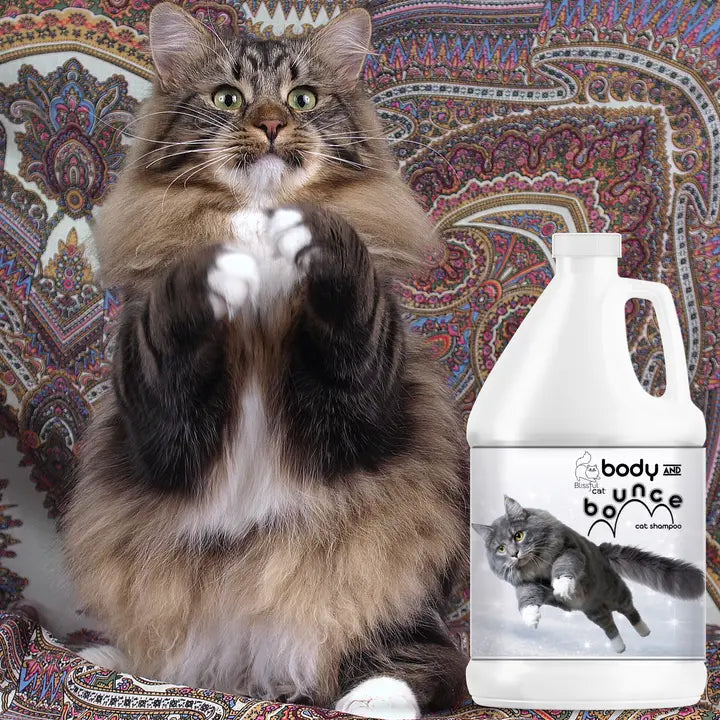 The Blissful Cat Body and Bounce Shampoo - 1 Gallon