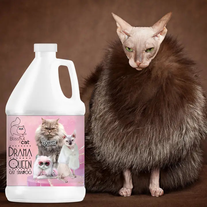 The Blissful Cat Drama Queen Shampoo - 1 Gallon