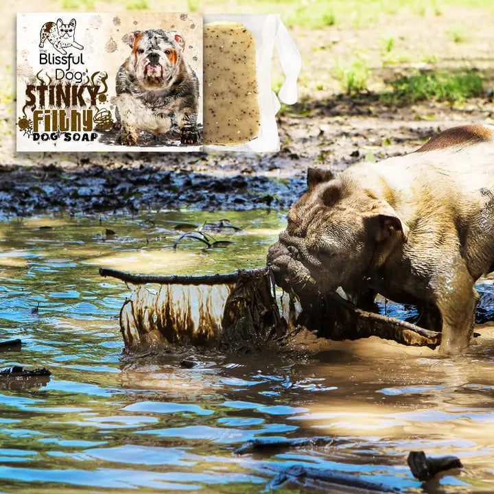 Stinky Filthy Dog Soap For Your Filthy Animal 3.5-4 oz