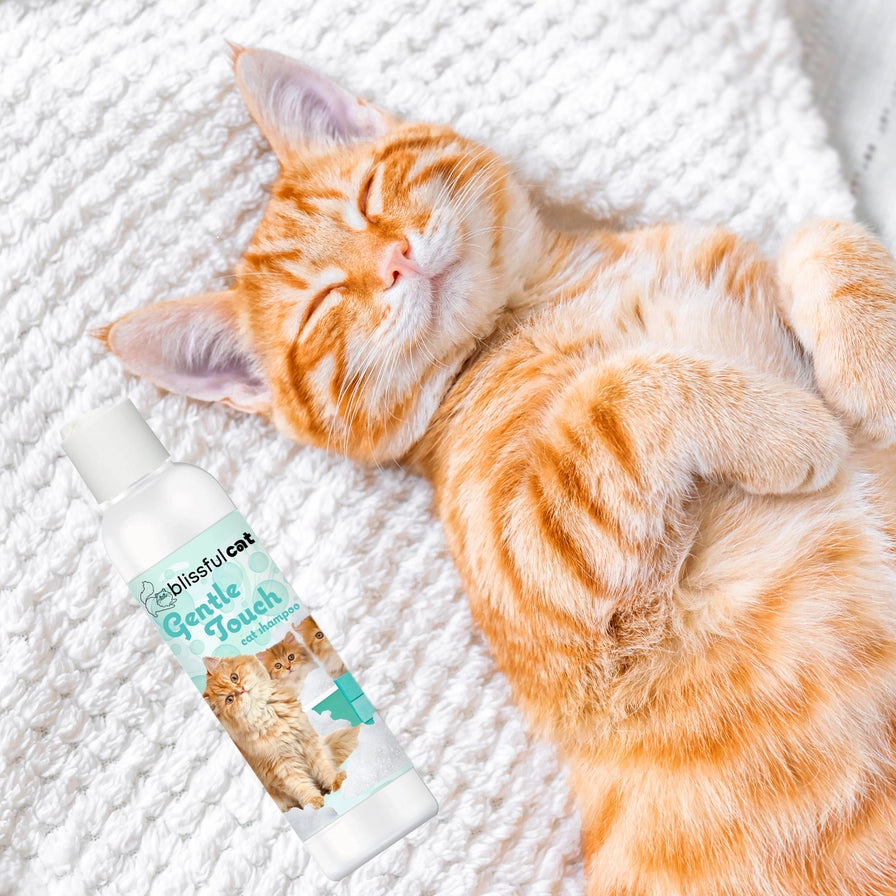 The Blissful Cat Shampoo Combo Kit, Set of 3 with Towel