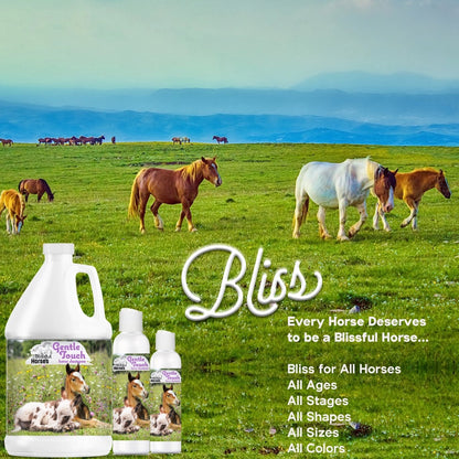 The Blissful Horses Gentle Touch Shampoo - 16 Ounce