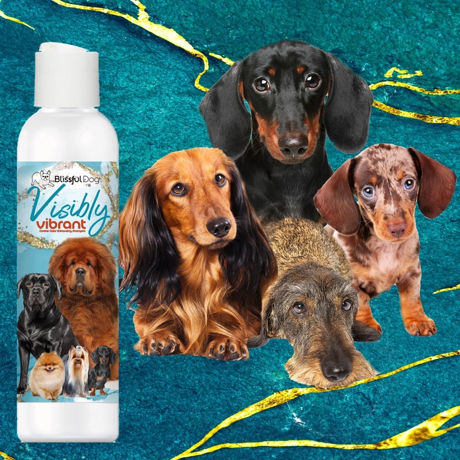 Visibly Vibrant Dog Shampoo For Color Enhancing