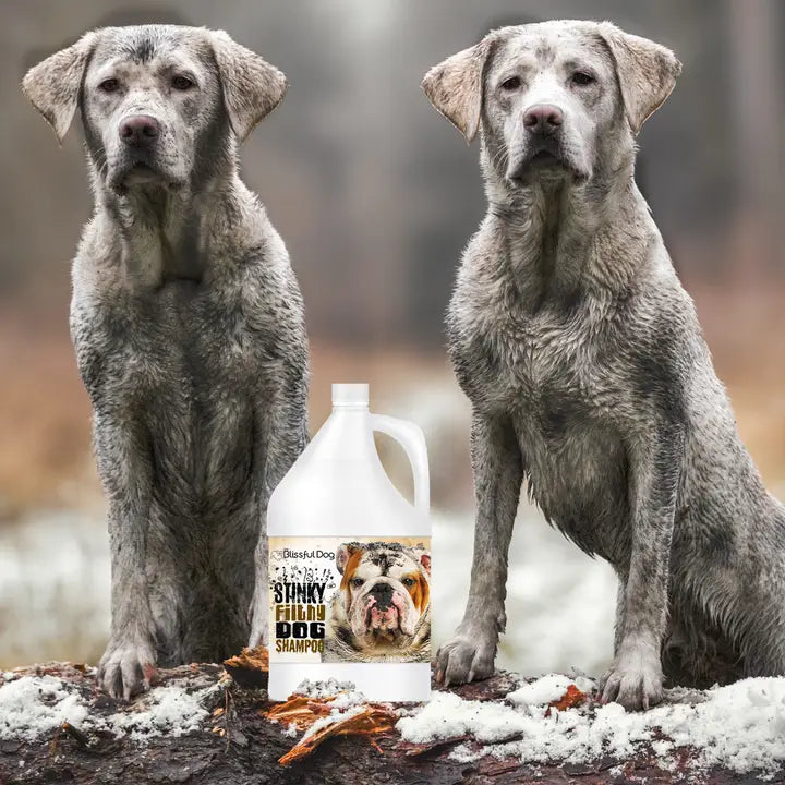 Stinky Filthy Dog Shampoo For Filthy Dogs Gallon