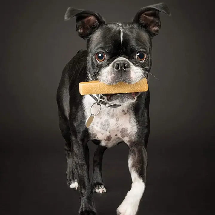 Willy's Wags Natural Pet Treats - Himalayan Yak Chews - Medium Sized - 5lbs. Bulk