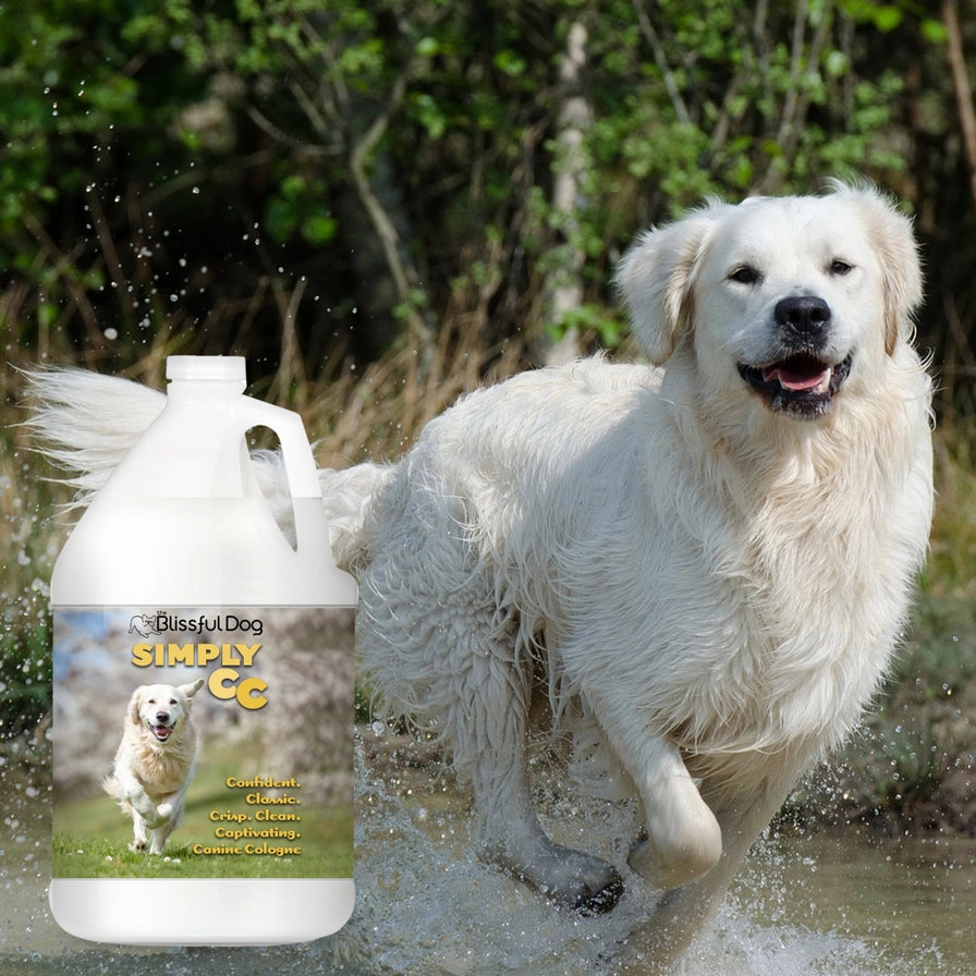 Simply Cc Dog Cologne | Crisp, Clean, Classic | Gallon