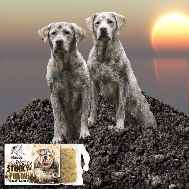 Stinky Filthy Dog Soap For Your Filthy Animal 3.5-4 oz