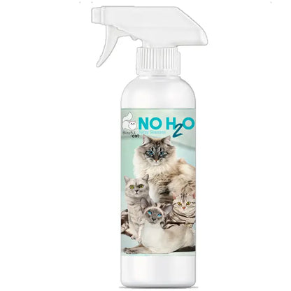 The Blissful Cat No H20 Spray Shampoo